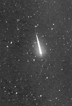 A Leonid meteor captured with an Apogee AP47p and a Nikon 16mm lens