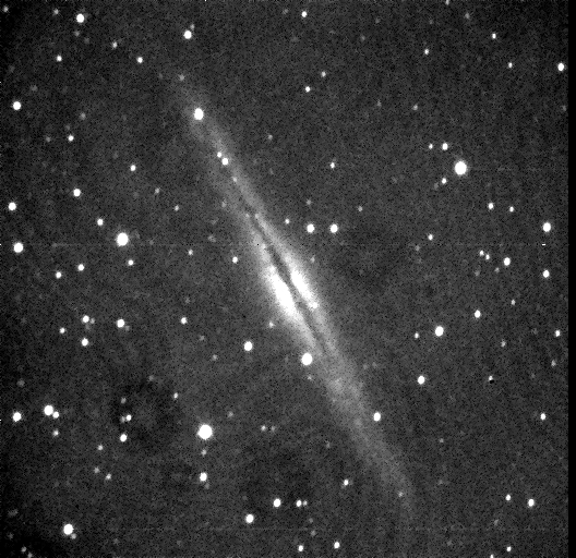 NGC 891 - First Light